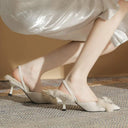 Furry Pointed Rhinestone Heel Shoes for Women’s Elegance Furry Pointed Rhinestone Heel Shoes for Women’s Elegance