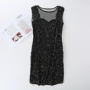 Elegant Sequins Mesh Dress Retro Style for Fashionistas Elegant Sequins Mesh Dress Retro Style for Fashionistas