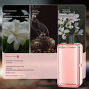 Type-C Charging Wireless Automatic Aerosol Dispenser Aromatherapy Fragrance Type-C Charging Wireless Automatic Aerosol Dispenser Aromatherapy Fragrance