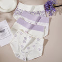 4Pcs Cotton Women's Panties High Waist Body Shaper Underwear 4Pcs Cotton Women's Panties High Waist Body Shaper Underwear