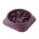 Slow Feeding Pet Bowl: Healthy Maze Design for Safe Eating Slow Feeding Pet Bowl: Healthy Maze Design for Safe Eating