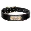 Personalized Leather Dog Collar Set with Free Engraving Personalized Leather Dog Collar Set with Free Engraving