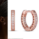 Zircon Heart Shaped Silver Earrings Elegant Gift for Women Zircon Heart Shaped Silver Earrings Elegant Gift for Women