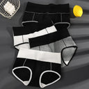 4 Pcs High Waist Womens Panties Body Shaper Plus Size Briefs 4 Pcs High Waist Womens Panties Body Shaper Plus Size Briefs