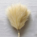 Fluffy Pampas Grass Artificial Flowers For Wedding Decor Fluffy Pampas Grass Artificial Flowers For Wedding Decor
