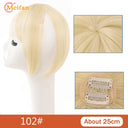 MEIFAN Clip-In Bangs Extension for Effortless Style Upgrade MEIFAN Clip-In Bangs Extension for Effortless Style Upgrade
