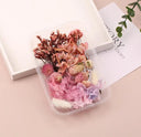 Artificial Plants And Real Dried Flowers For Home Decor Artificial Plants And Real Dried Flowers For Home Decor