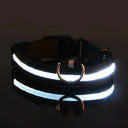 LED Night Safety Dog Leash And Collar Set For Visibility LED Night Safety Dog Leash And Collar Set For Visibility