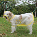 Transparent Dog Raincoat Hooded Waterproof Jacket for Pets Transparent Dog Raincoat Hooded Waterproof Jacket for Pets