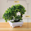 Artificial Bonsai Plants: Lifelike Greenery for Decor Artificial Bonsai Plants: Lifelike Greenery for Decor