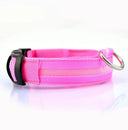 LED Glowing Dog Safety Collar Water-resistant Rechargeable LED Glowing Dog Safety Collar Water-resistant Rechargeable