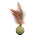 Catnip Wall Ball Cat Toy for Cats Clean Mouth Entertain Kittens Catnip Wall Ball Cat Toy for Cats Clean Mouth Entertain Kittens