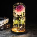 Enchanted Galaxy Rose Glass Dome Eternal Love Gift Set Deluxe Enchanted Galaxy Rose Glass Dome Eternal Love Gift Set Deluxe