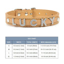 Leather Personalized Pet Collar With Rhinestone Letters Leather Personalized Pet Collar With Rhinestone Letters