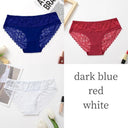 Silk Lace Briefs for Women Luxe Comfort Elegance Intimates Silk Lace Briefs for Women Luxe Comfort Elegance Intimates