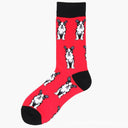 Playful Fruit-Inspired Cotton Socks Trendy Comfort for You Playful Fruit-Inspired Cotton Socks Trendy Comfort for You