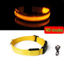 LED Dog Collar Light: High Visibility Night Safety Accessory LED Dog Collar Light: High Visibility Night Safety Accessory