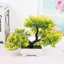 Artificial Bonsai Plant Set for Home, Office & Hotel Decor Artificial Bonsai Plant Set for Home, Office & Hotel Decor