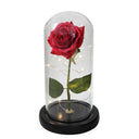 Enchanted Galaxy Rose Glass Dome Eternal Love Gift Set Deluxe Enchanted Galaxy Rose Glass Dome Eternal Love Gift Set Deluxe