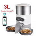 Smart Pet Feeder With Remote Feeding And Voice Recording Smart Pet Feeder With Remote Feeding And Voice Recording