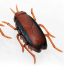 Interactive Ladybird Beetle Cat Toy for Engaging Fun Interactive Ladybird Beetle Cat Toy for Engaging Fun