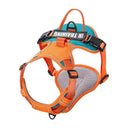 Reflective Nylon Dog Harness Vest With Personalized Leash Reflective Nylon Dog Harness Vest With Personalized Leash