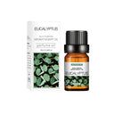 Aromatic Flower Fruit Essential Oil for Stress Relief 10ml Aromatic Flower Fruit Essential Oil for Stress Relief 10ml