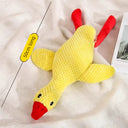 Large Dog Self-Hi Corgi Consumes Small Yellow Duck Toy Large Dog Self-Hi Corgi Consumes Small Yellow Duck Toy