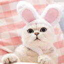 Cute Lion Mane Wig Hat for Small Dogs and Cats Decor Cute Lion Mane Wig Hat for Small Dogs and Cats Decor