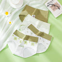 4PCS High Waist Women's Panties Body Shaper Plus Size Briefs 4PCS High Waist Women's Panties Body Shaper Plus Size Briefs