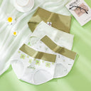 4 Pcs High Waist Womens Panties Body Shaper Plus Size Briefs 4 Pcs High Waist Womens Panties Body Shaper Plus Size Briefs