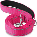 Reflective Night Dog Leash: Enhance Visibility and Safety Reflective Night Dog Leash: Enhance Visibility and Safety
