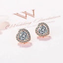 Starlight Elegance Sterling Silver Star Stud Earrings Zircon Starlight Elegance Sterling Silver Star Stud Earrings Zircon