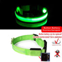 LED Dog Collar Light: High Visibility Night Safety Accessory LED Dog Collar Light: High Visibility Night Safety Accessory