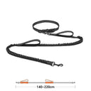 High Quality Hands-Free Dog Leash with Dual Bungee for Large Dogs High Quality Hands-Free Dog Leash with Dual Bungee for Large Dogs