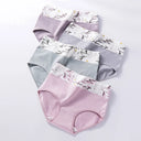 4Pcs Cotton Women's Panties High Waist Body Shaper Underwear 4Pcs Cotton Women's Panties High Waist Body Shaper Underwear