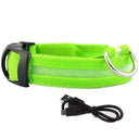 Illuminated Dog Collars: Enhanced Safety & Visibility Solution Illuminated Dog Collars: Enhanced Safety & Visibility Solution