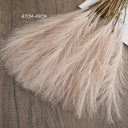 Elegant Boho Fluffy Pampas Grass for Weddings and Home Decor Elegant Boho Fluffy Pampas Grass for Weddings and Home Decor