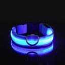 LED Night Safety Dog Leash & Collar Set for Enhanced Visibility LED Night Safety Dog Leash & Collar Set for Enhanced Visibility