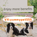 Kyjen Alone Food Basin Educational Toys For Border Collie Puppy Kyjen Alone Food Basin Educational Toys For Border Collie Puppy