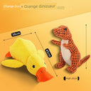 Large Dog Self-Hi Corgi Consumes Small Yellow Duck Toy Large Dog Self-Hi Corgi Consumes Small Yellow Duck Toy