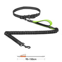 High Quality Hands-Free Dog Leash with Dual Bungee for Large Dogs High Quality Hands-Free Dog Leash with Dual Bungee for Large Dogs