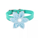 Affordable Comfort Leather Pet Collar for Small Dogs & Cats Affordable Comfort Leather Pet Collar for Small Dogs & Cats