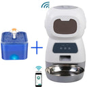 Smart Pet Feeder Bowl With Water Fountain WiFi Enabled Smart Pet Feeder Bowl With Water Fountain WiFi Enabled