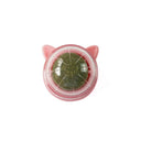 Catnip Wall Ball Cat Toy for Cats Clean Mouth Entertain Kittens Catnip Wall Ball Cat Toy for Cats Clean Mouth Entertain Kittens