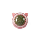Catnip Wall Ball Cat Toy for Cats Dental Health for Kittens Catnip Wall Ball Cat Toy for Cats Dental Health for Kittens