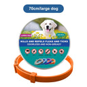 Adjustable Vet Anti Flea Tick Collar For Cats And Dogs Adjustable Vet Anti Flea Tick Collar For Cats And Dogs