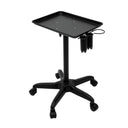 Professional Aluminum Salon Rolling Cart Mobile Trolley Professional Aluminum Salon Rolling Cart Mobile Trolley