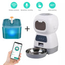 WiFi Automatic Pet Feeder Smart Food Dispenser Cat Dog Bowl WiFi Automatic Pet Feeder Smart Food Dispenser Cat Dog Bowl