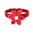 Affordable Comfort Leather Pet Collar for Small Dogs & Cats Affordable Comfort Leather Pet Collar for Small Dogs & Cats
